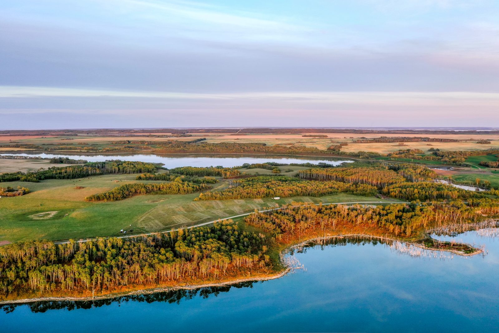 Golden-hour aerial of the wooded shoreline at Shannon Lake