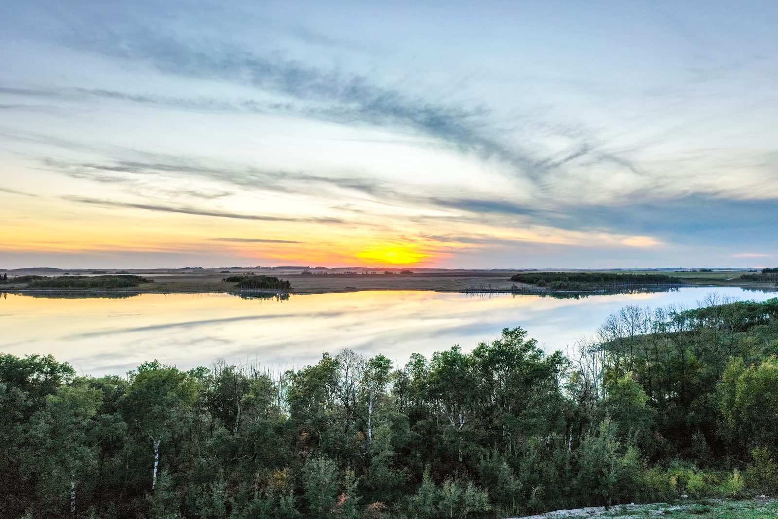 Sunset over Shannon Lake seen through the aspens on the shore