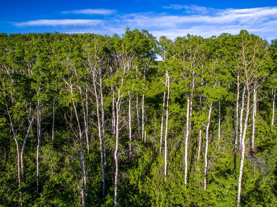 Aerial photo of Lot 15
