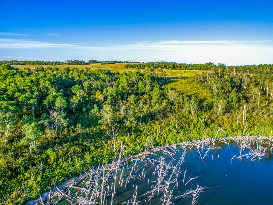 Aerial photo of Lot 20